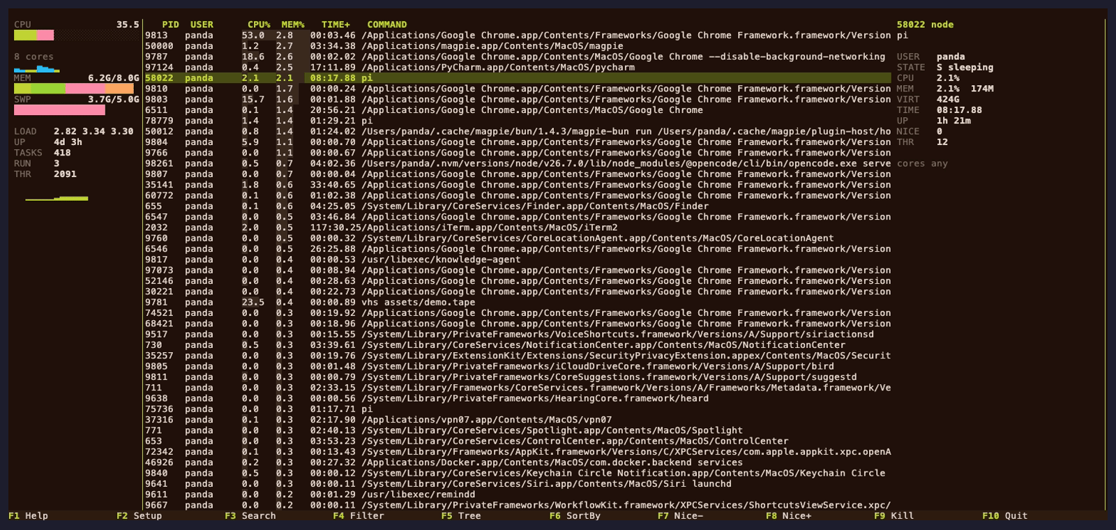 gander in its panels layout: a system column on the left, the process table in the middle, and a live inspector on the right showing the selected process's command line, state, memory and runtime.